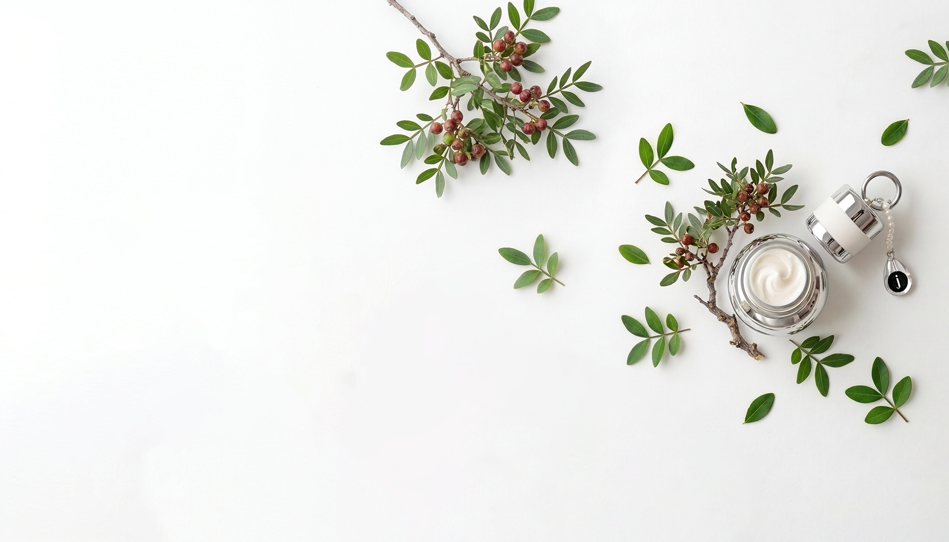 Mastika Tree . Naturally strengthens the skin barrier